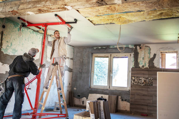 Best Insulation Maintenance and Repair in Bloomer, WI